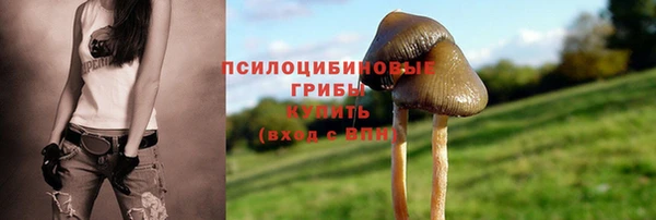прущие крисы Баксан