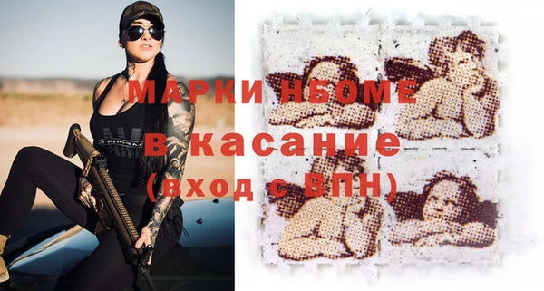 индика Волосово